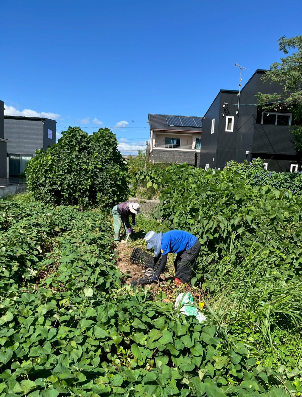 高齢者向け施設運営事業